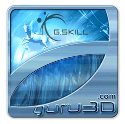 Gskill-search-logo