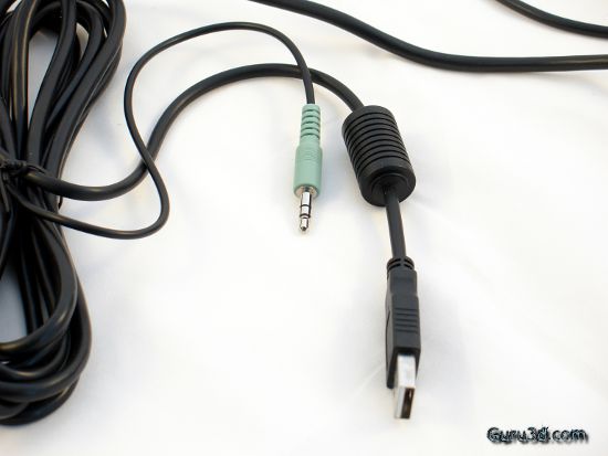 Plug is for audio, USB is for microphone and power.